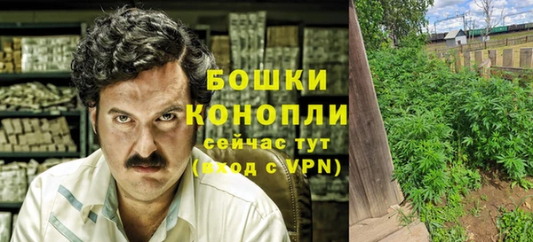 эйфоретик Сафоново