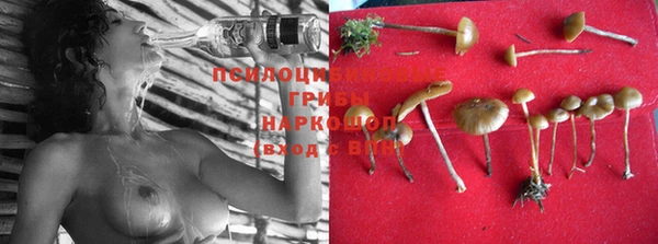 spice Саяногорск